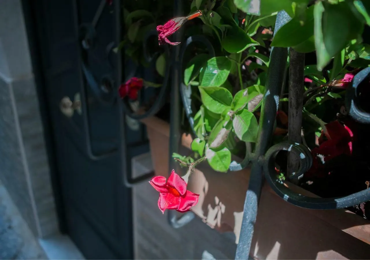 Holiday home Vecchia Napoli Apt 20